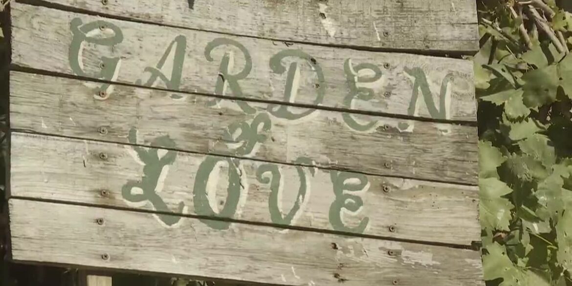 Laredo garden initiative receives $15K to combat food shortages Laredo garden initiative receives $15K to combat food shortages