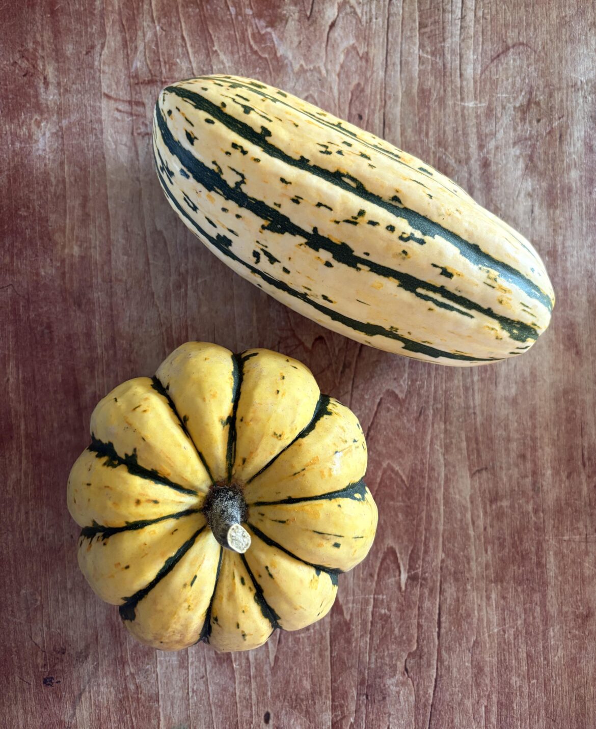 Both from the same plant