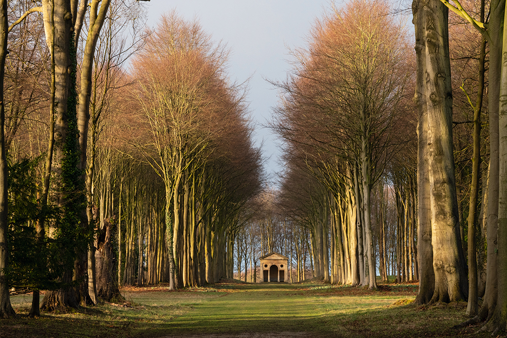 Serenity and splendour: a choice of gardening books Serenity and splendour: a choice of gardening books
