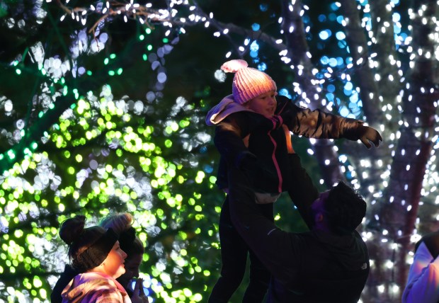 A child is hoisted under decorated trees at the Morton...