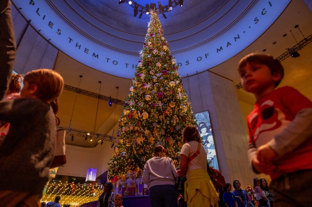 People attend the tree lighting and opening of MSI's Christmas Around the World and Holidays of Light exhibit at the Griffin Museum of Science and Industry in Chicago on Nov. 16, 2024. (Tess Crowley/Chicago Tribune)