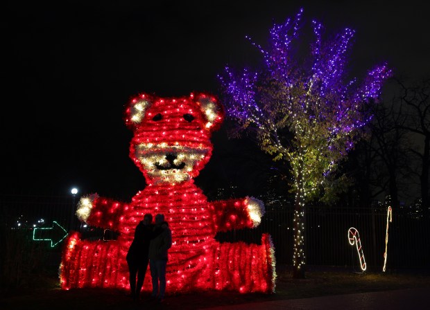People take pictures in front of a bear at ZooLights at Lincoln Park Zoo, Nov. 15, 2024, in Chicago. (John J. Kim/Chicago Tribune)