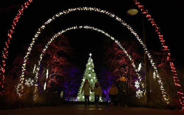 People walk along the decorations at Christmas at Cantigny light...