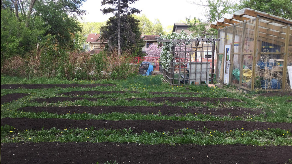 Photo of Shelby Tanton