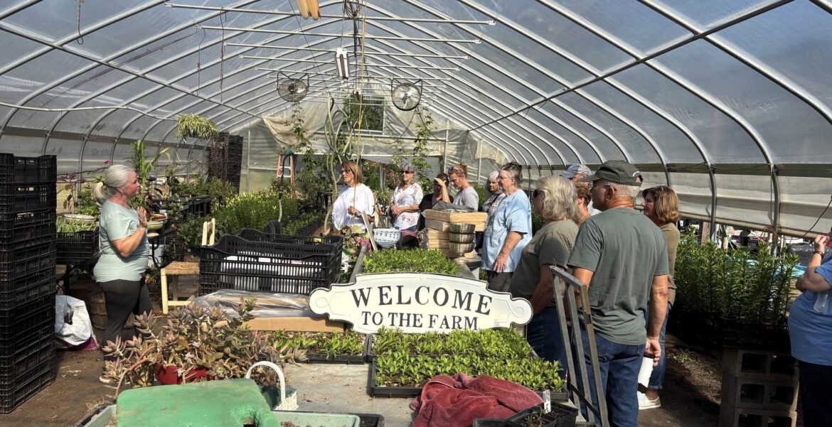 Crestview Garden Club blooms anew