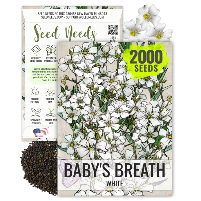 Amazon baby's breath seeds