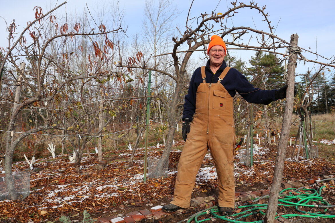Maine man cultivates hundreds of small, flat fruit trees Maine man cultivates hundreds of small, flat fruit trees