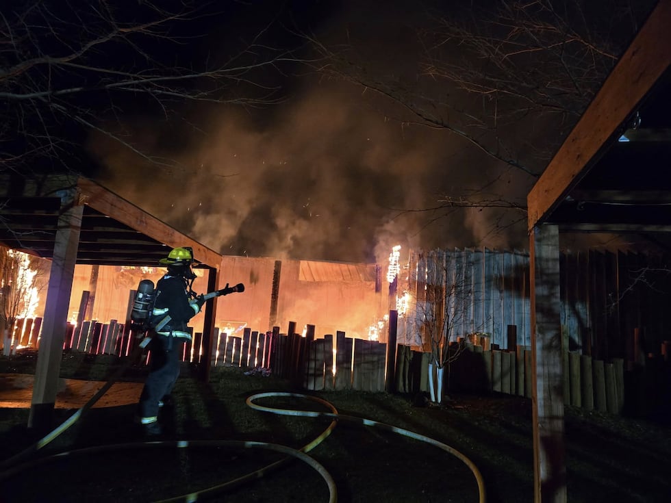 Fire at Reptile Gardens