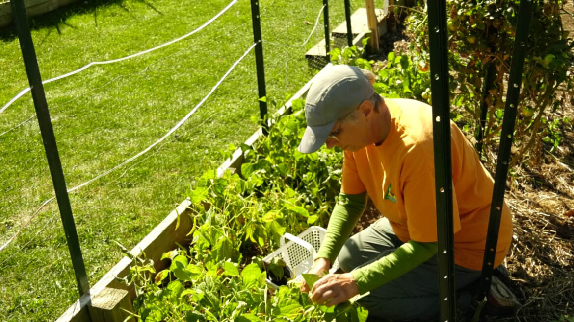 The 25th Hour: Gardener for life