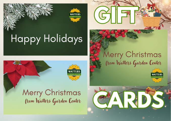 Watters Garden Center Gift Cards, with chritmas greetings and design