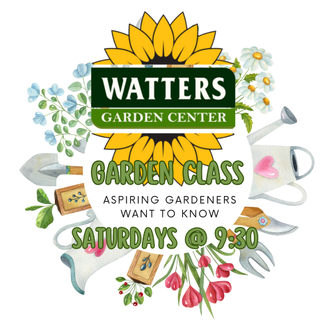 watters garden classes flyer, details in article