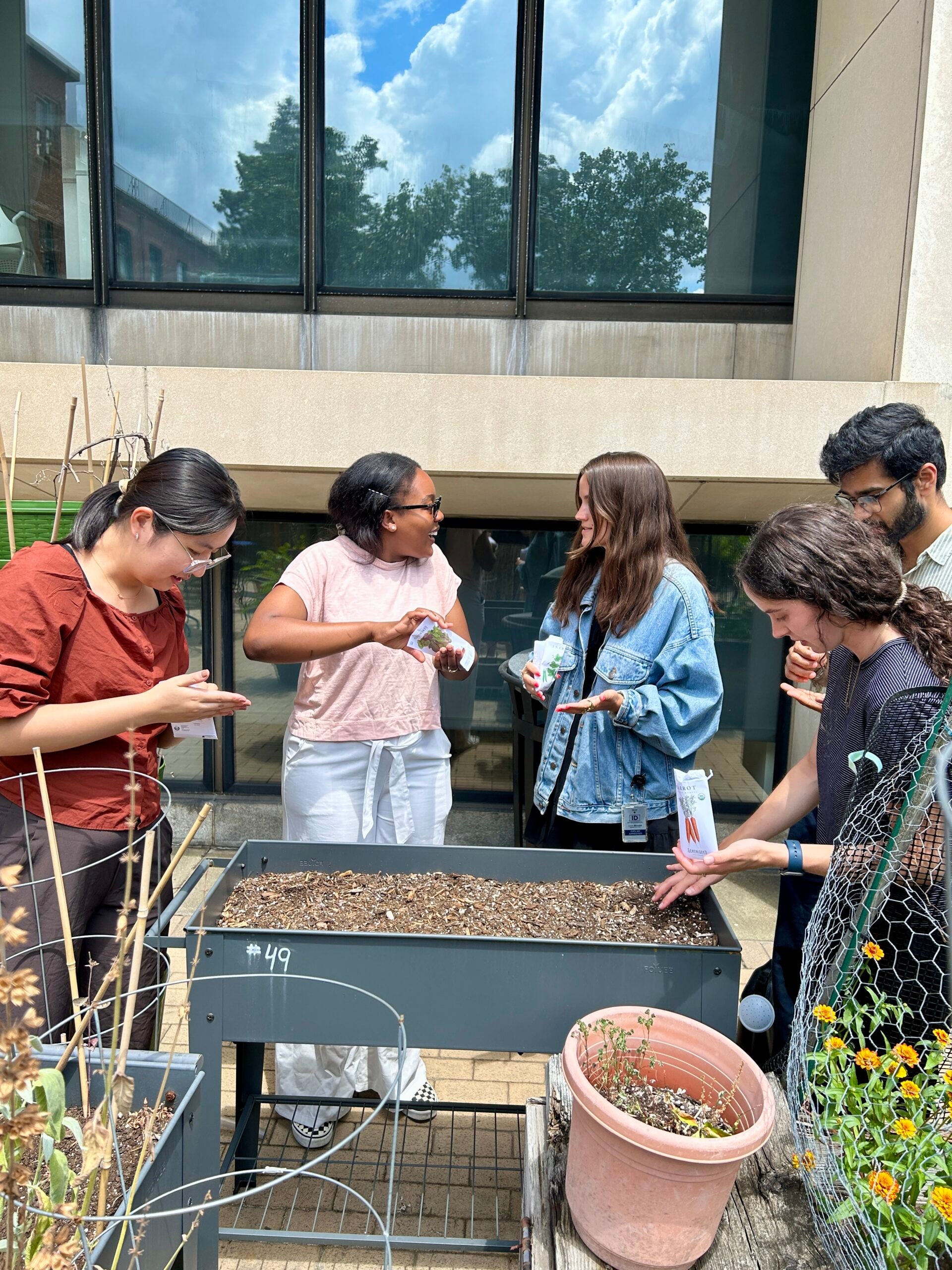The Mahalingaiah Lab team setting up our 2025 garden bed at Countway Library.