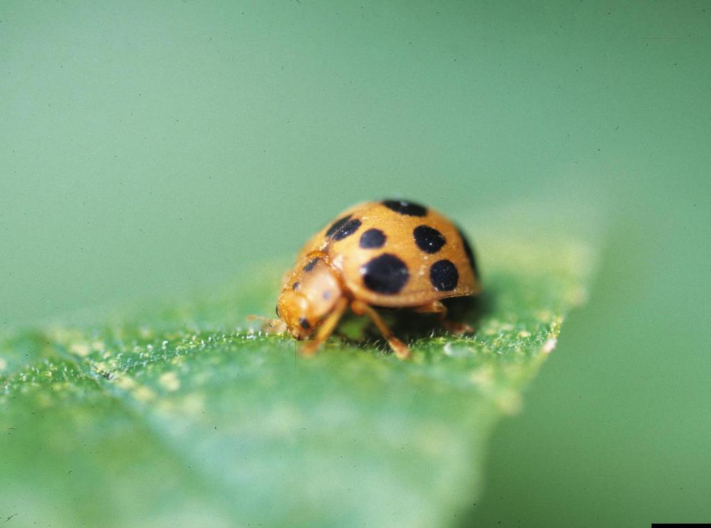 Why gardening mishaps are a (sometimes painful) part of the process – Orange County Register Why gardening mishaps are a (sometimes painful) part of the process – Orange County Register
