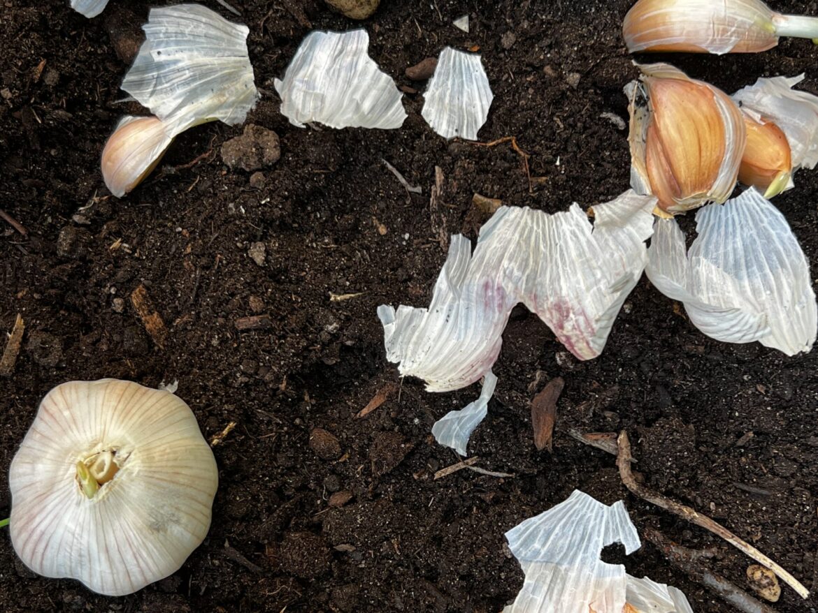 Doing these fall garden chores will make your spring easier Doing these fall garden chores will make your spring easier