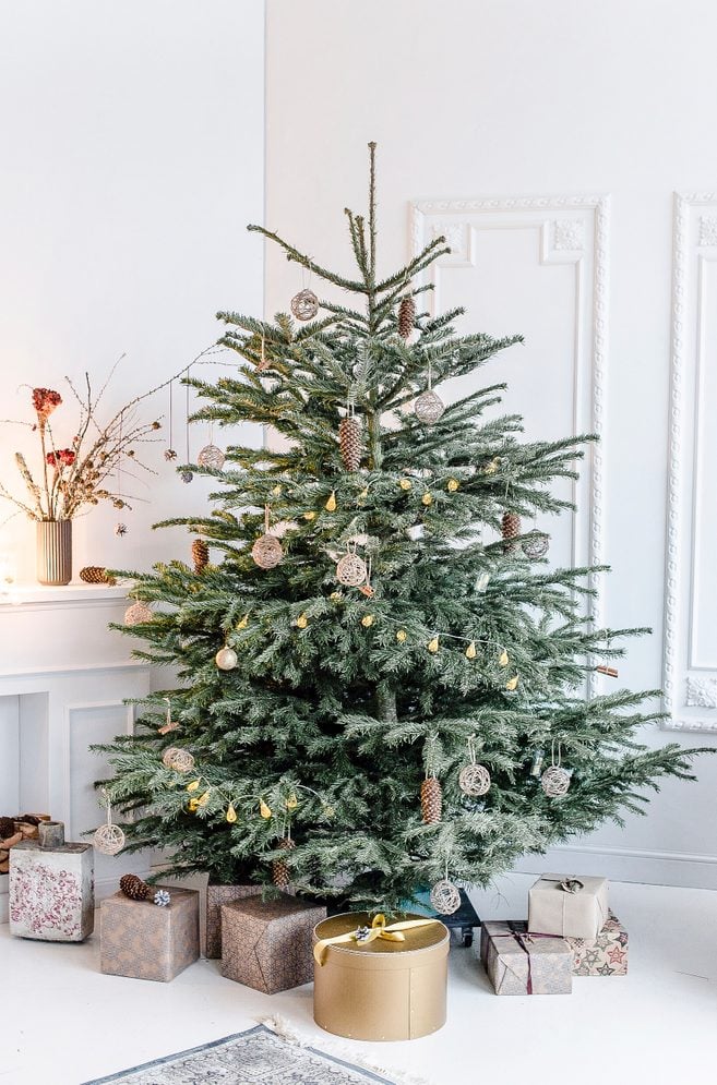 Decorated Christmas Tree, how to care for a live Christmas tree