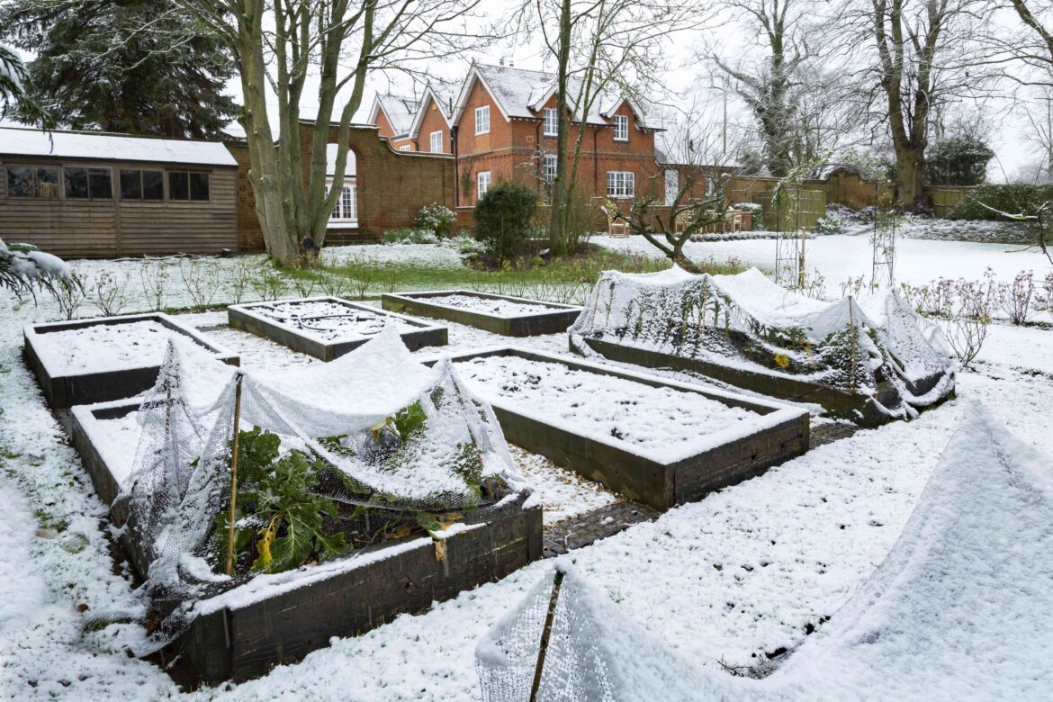 Should You Cover Your Raised Garden Beds This Winter? What Gardeners Recommend Should You Cover Your Raised Garden Beds This Winter? What Gardeners Recommend