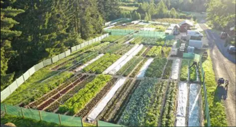 Grow a Garden Farmers Market