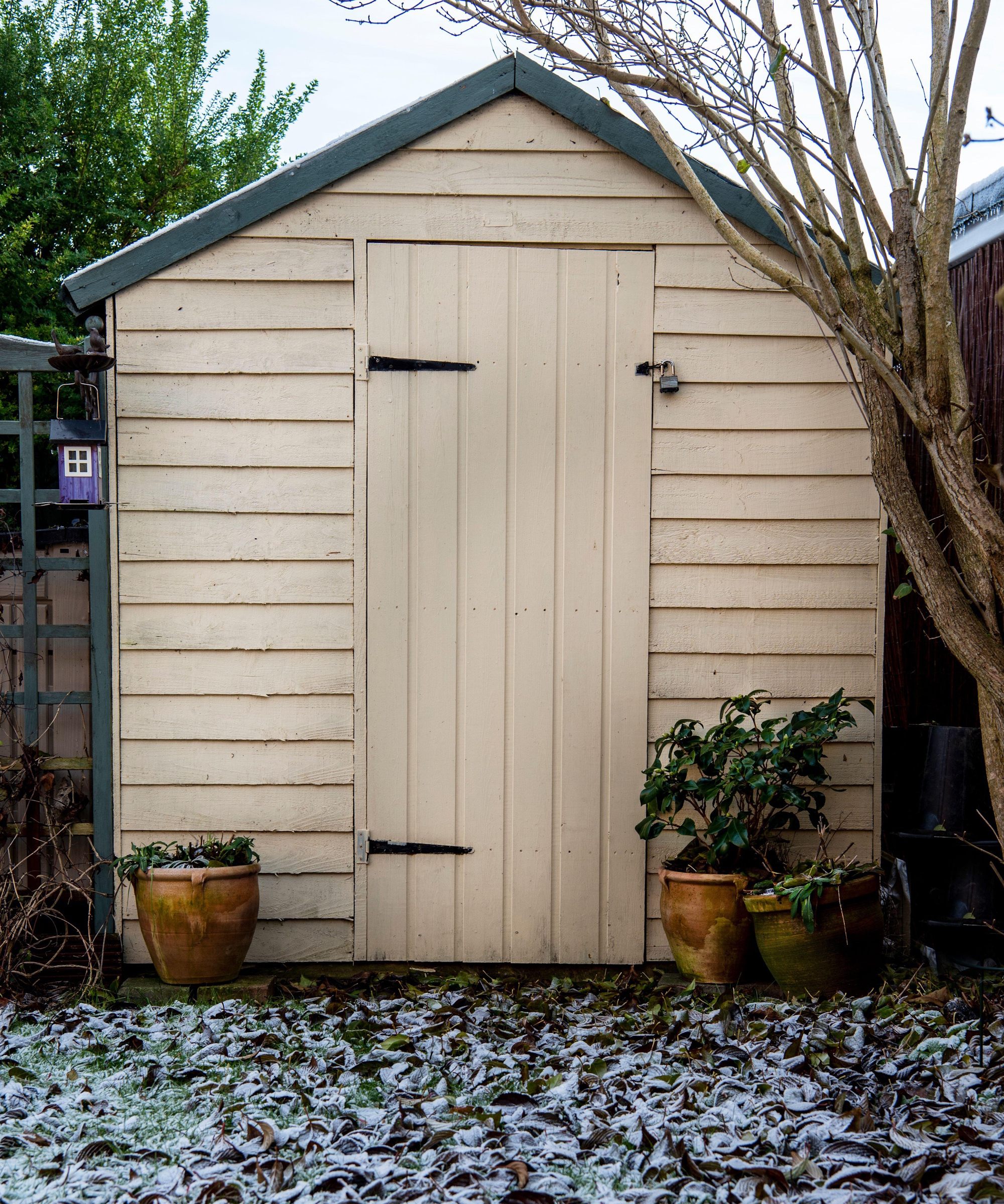 Garden shed in frost