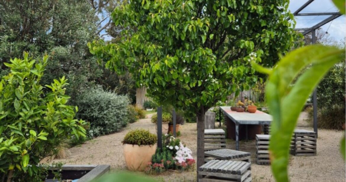 Gardens to open across the borough