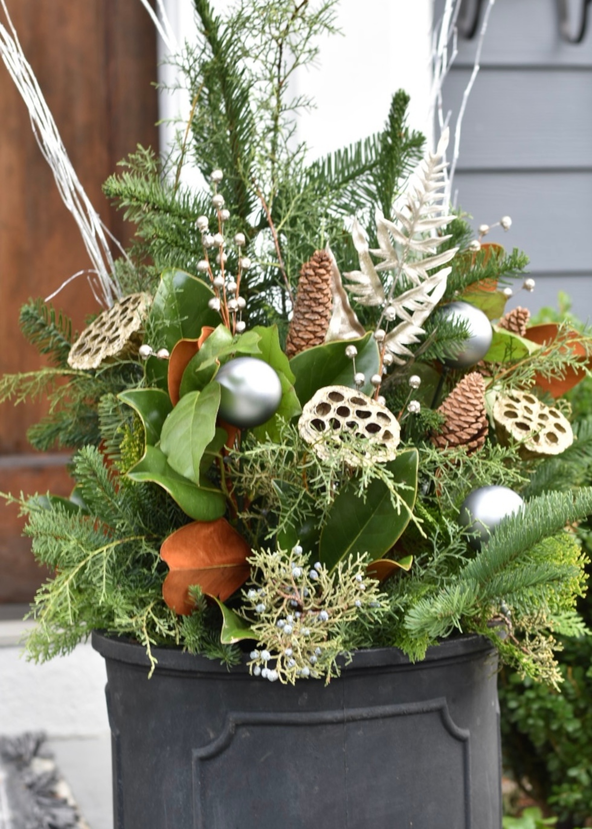 Festive garden container by Laura Janney