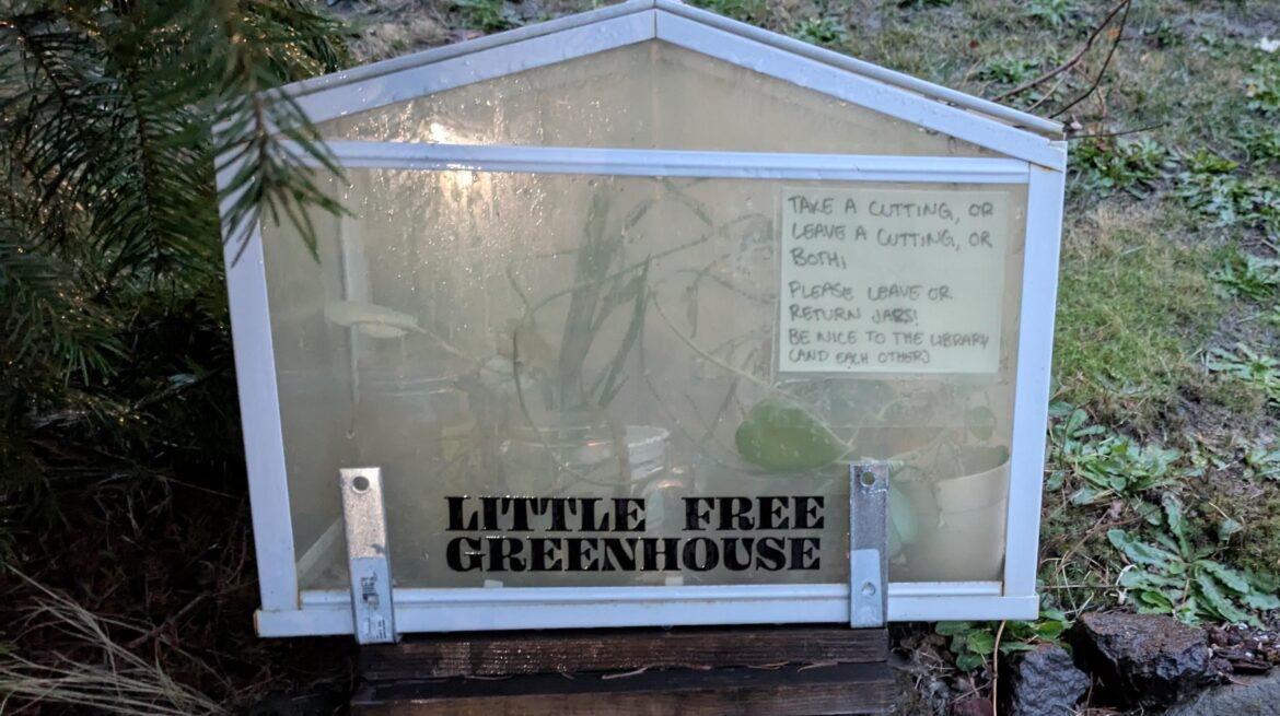 I saw this Little Free Greenhouse yesterday!