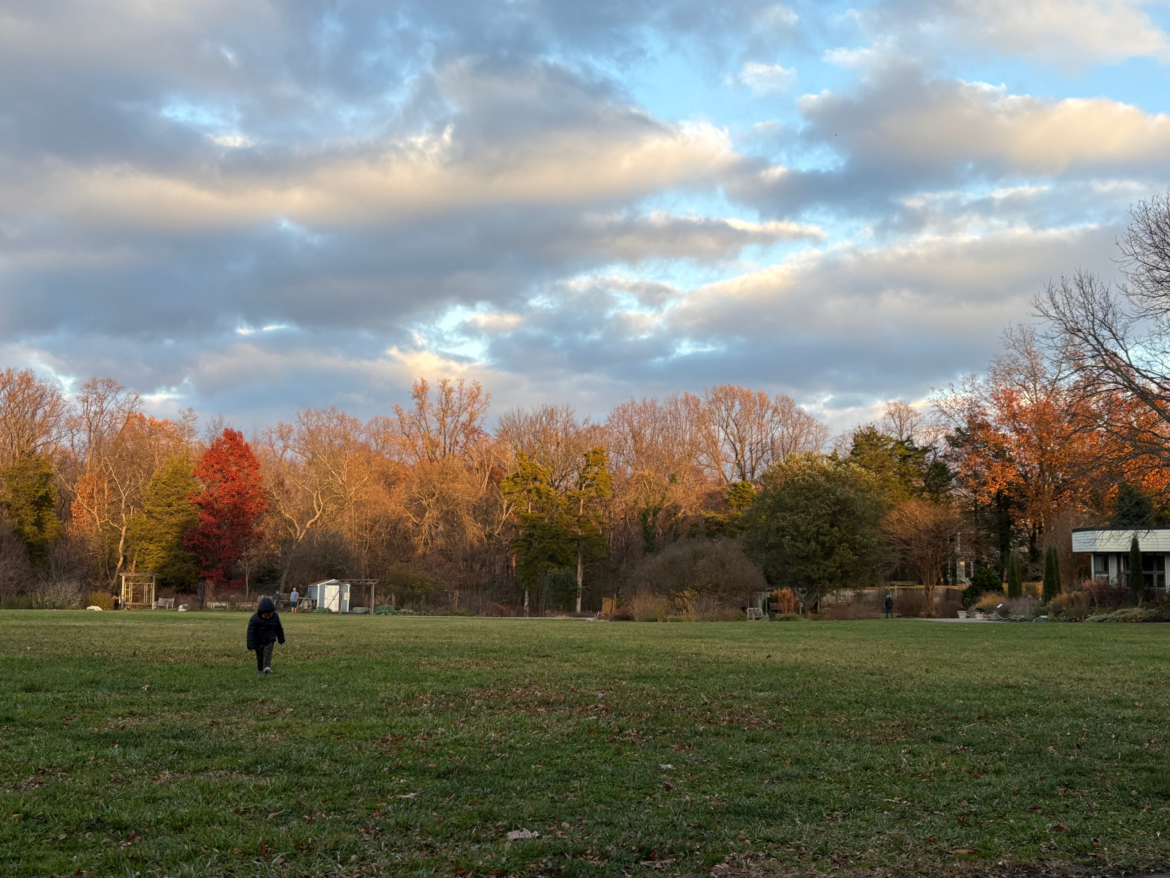 Viewpoint: Green Spring Gardens should focus on conservation