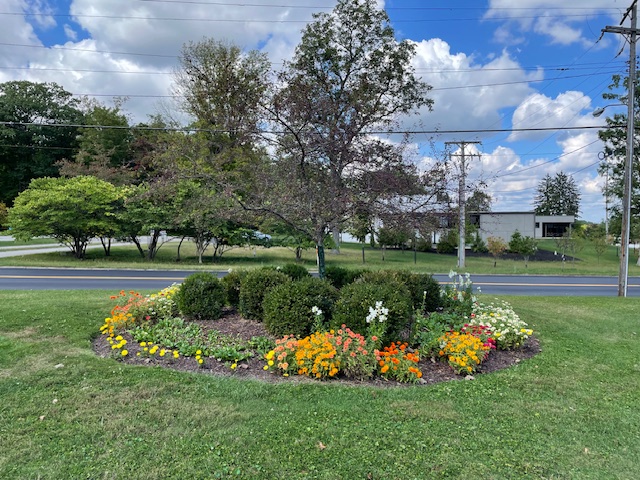 Volunteers needed as groups beautifying city medians get older Volunteers needed as groups beautifying city medians get older