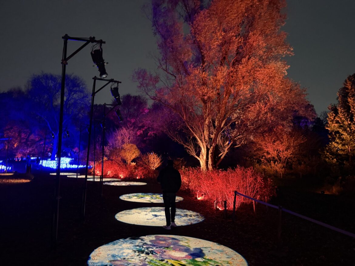 Lightscape at Brooklyn Botanic Garden – what you need to know | Brooklyn Bridge Parents
