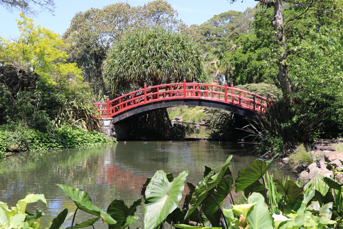 A refurb of the Kawasaki bridge at the Wollongong Botanic Garden is part of the new master plan for the site.