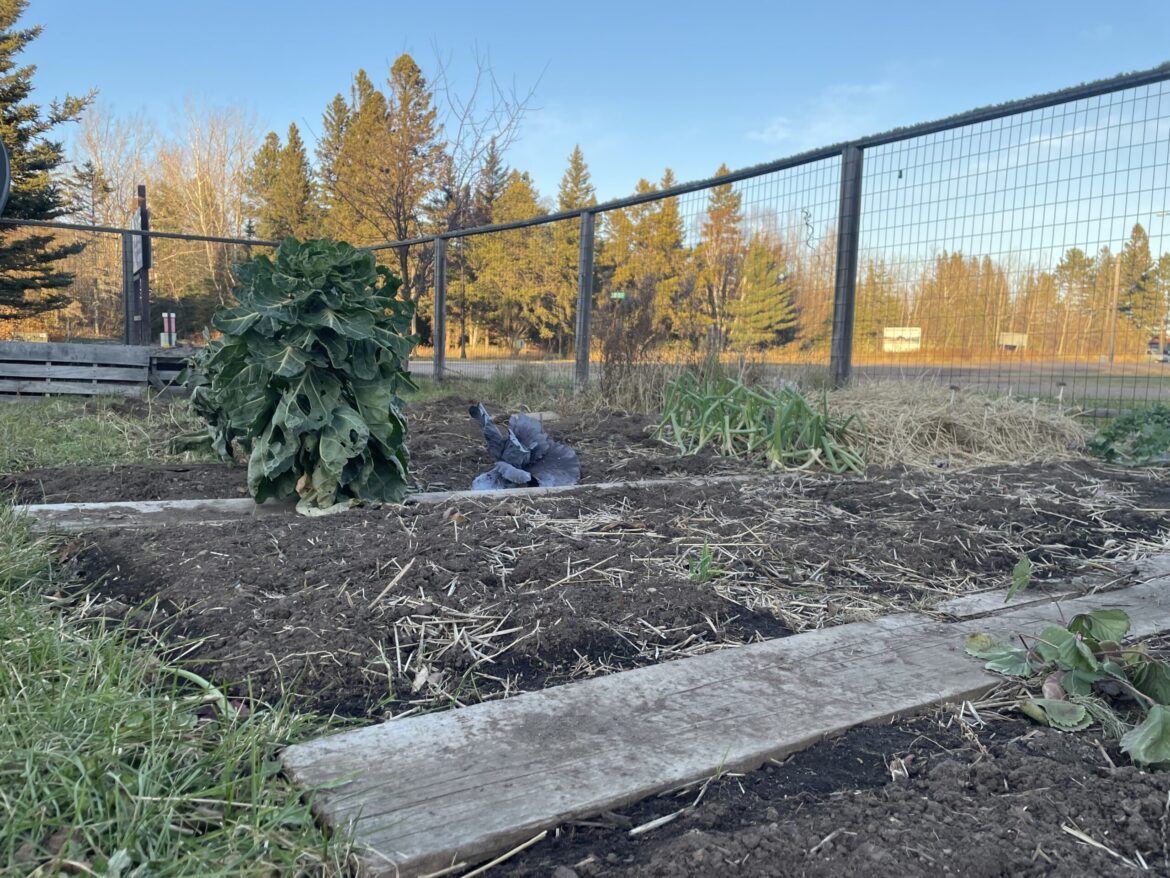 Northern Gardening: Preparing for winter Northern Gardening: Preparing for winter