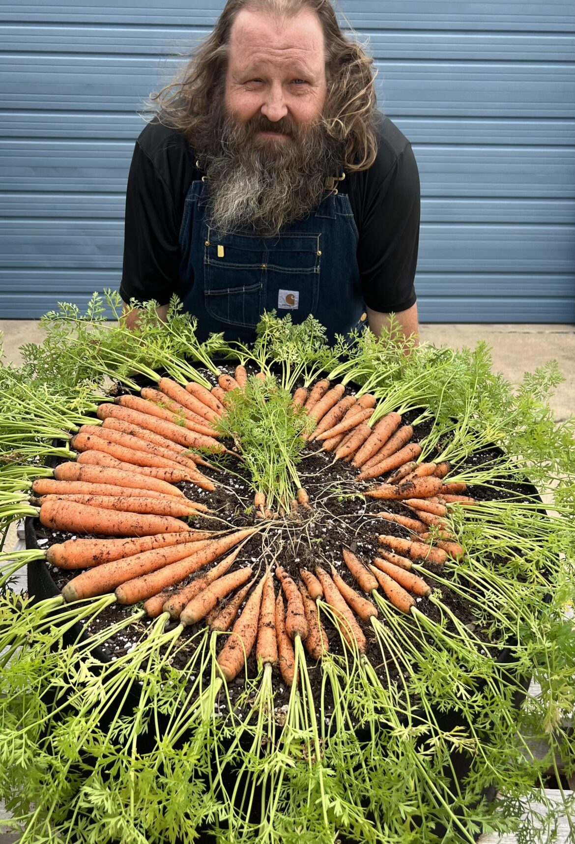 If you ain’t got the backyard space, grow them in containers.