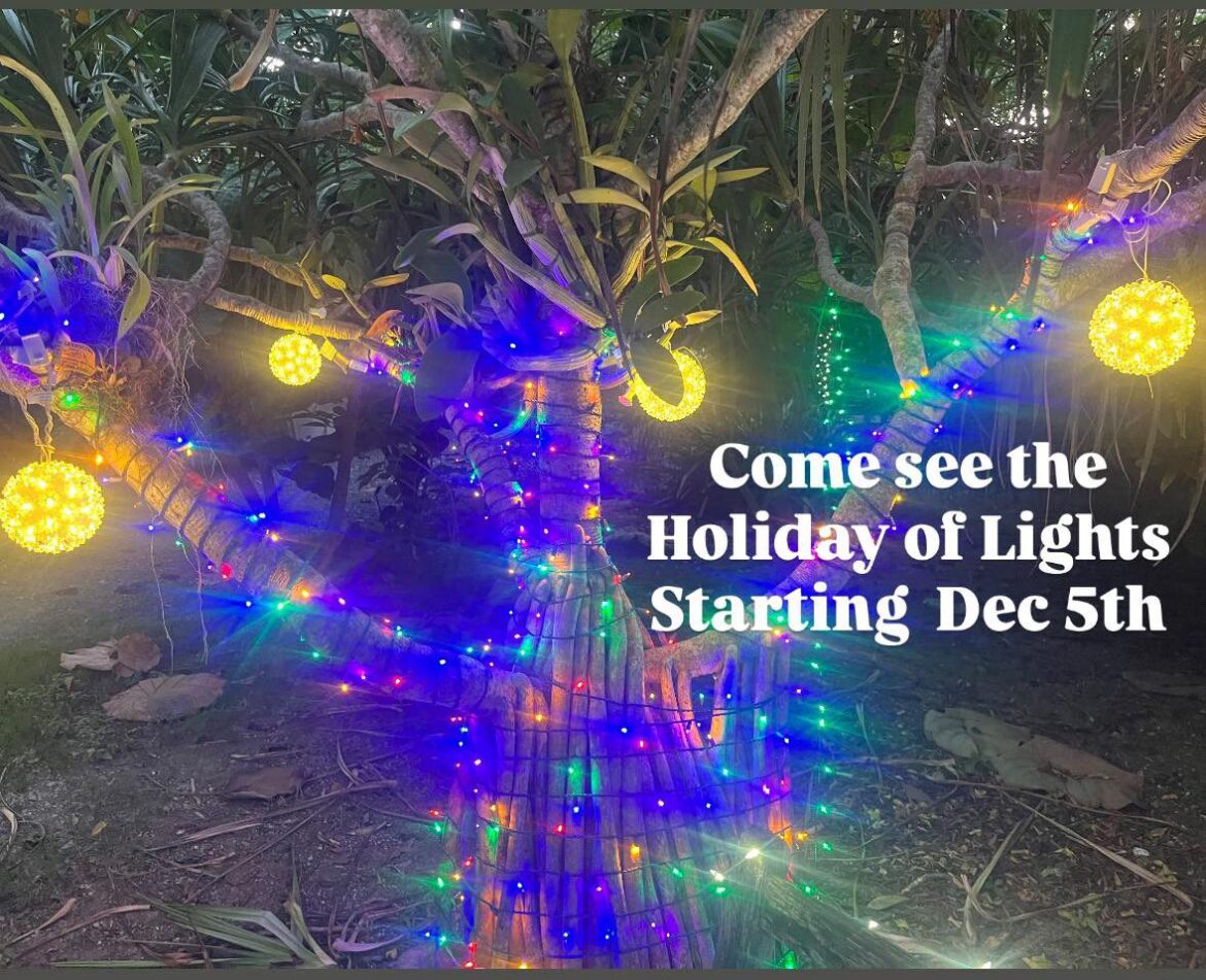 St. George Village Botanical Garden to Light Up for the Holidays