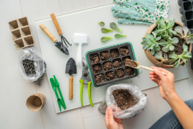 Learn how to grow plants indoor this winter by joining a gardening workshop – City of Mississauga Learn how to grow plants indoor this winter by joining a gardening workshop – City of Mississauga