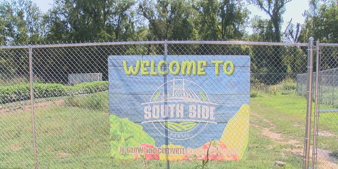 Cape Girardeau community garden to receive funding from Mo. Dept. of Ag. grant program Cape Girardeau community garden to receive funding from Mo. Dept. of Ag. grant program