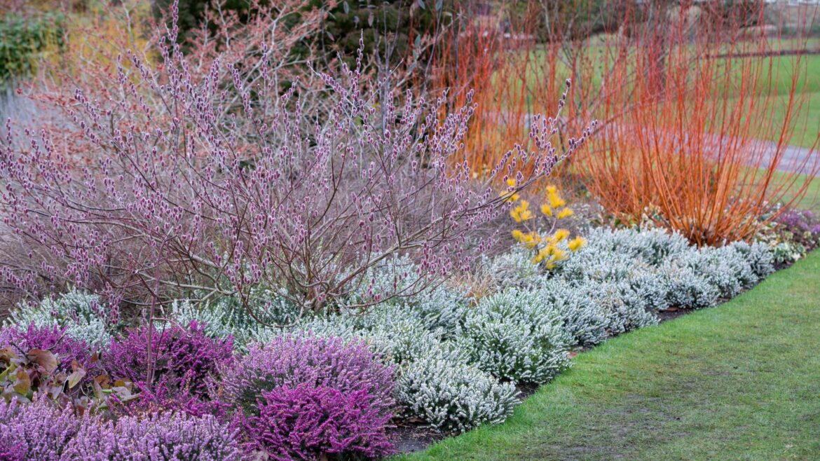 How to Design a Winter Garden — 8 Ideas to Try