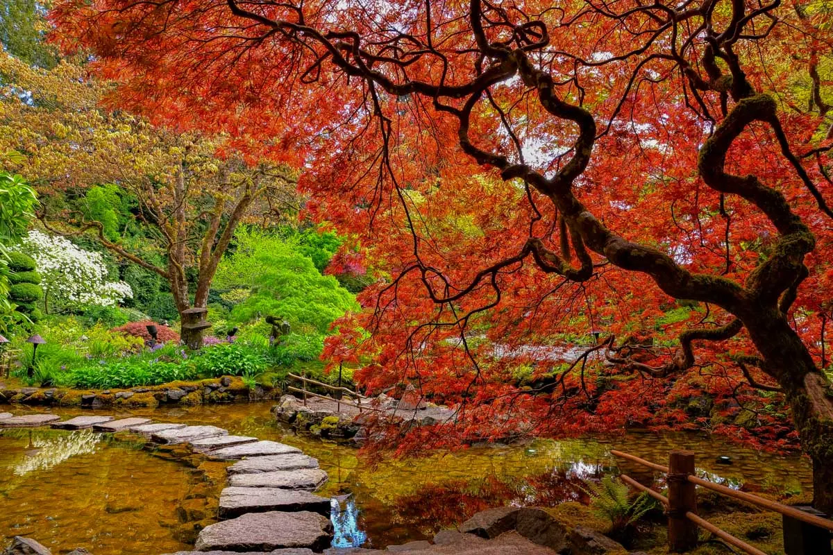 Japanese gardens during fall at The Butchart Gardens on Vancouver Island, BC