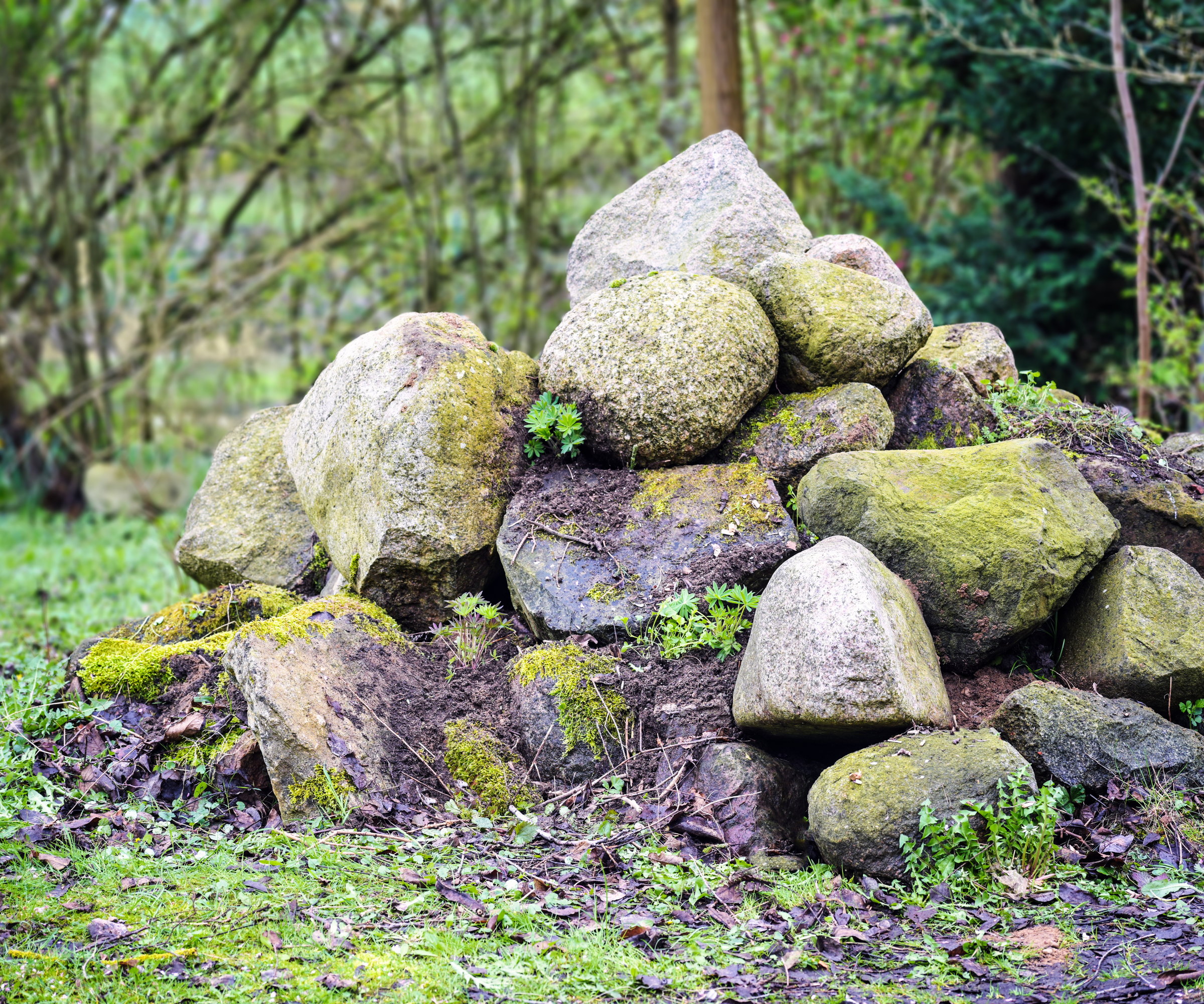 A stone pile made for habitat for wildlife