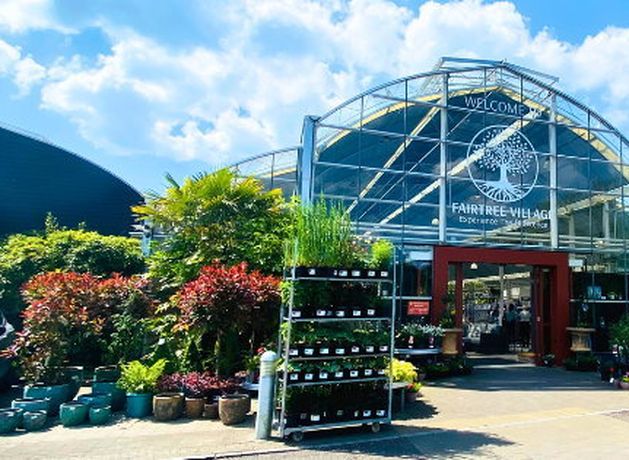 New era for Kerry garden centre business formerly owned by Nathan McDonnell New era for Kerry garden centre business formerly owned by Nathan McDonnell