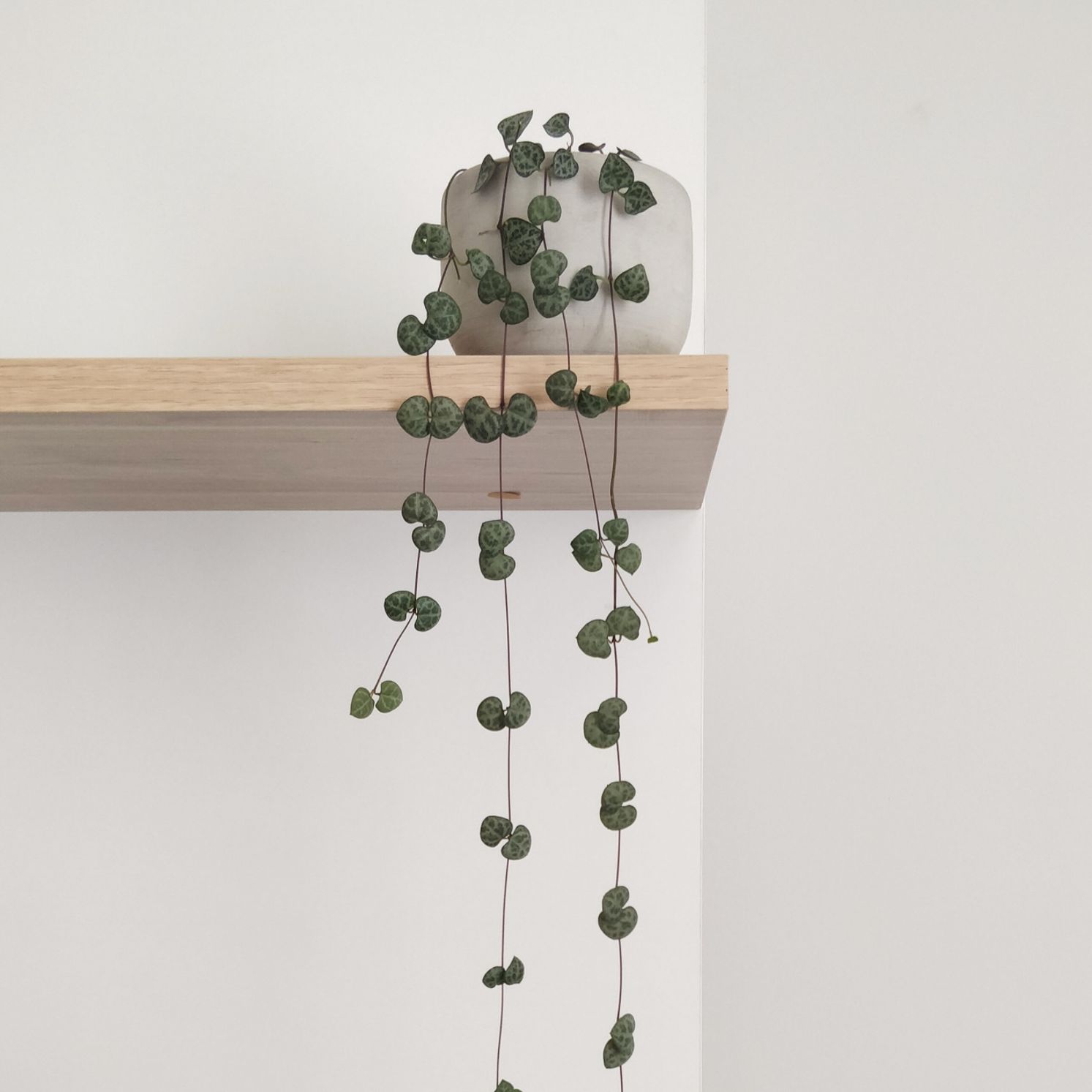 String of hearts