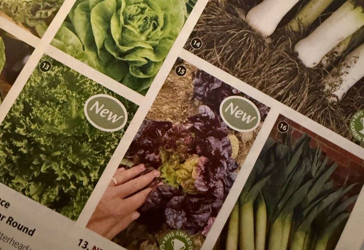 Gayton gardener Jamie Marsh reveals “one of his little pleasures’