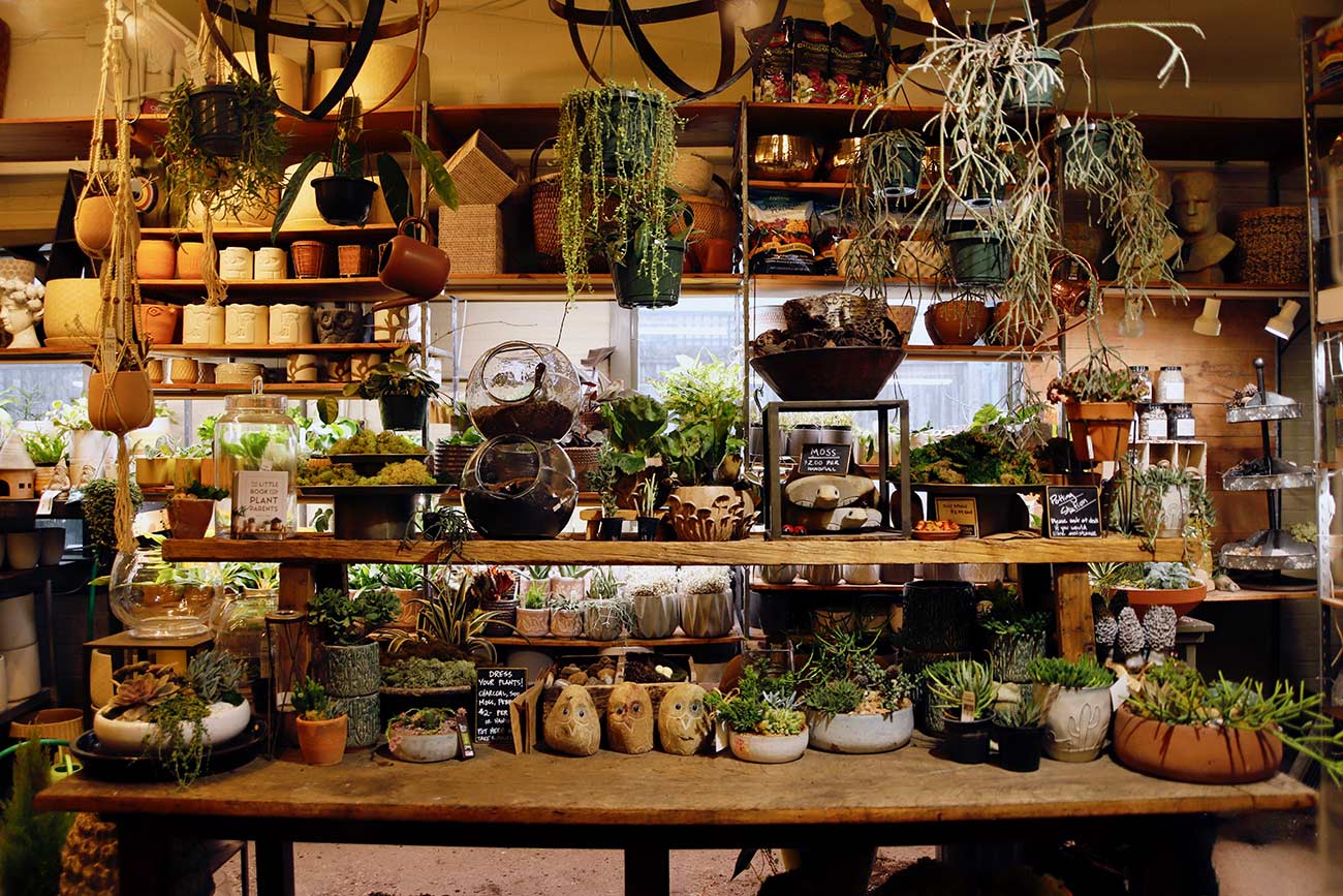 Display of table plants at Tangletown Gardens.
