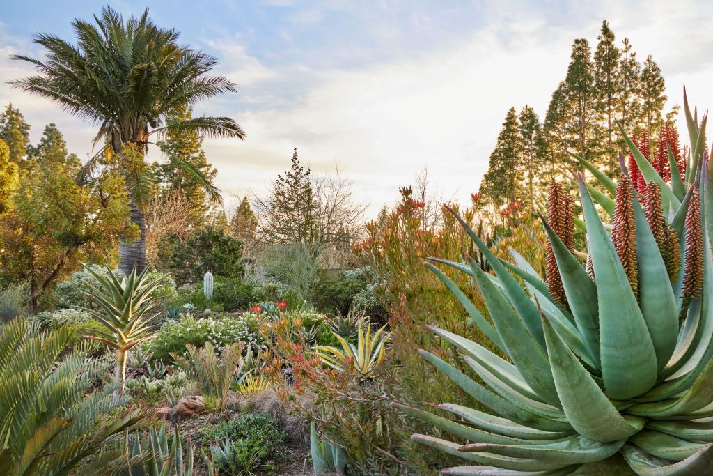 Renowned East Bay garden inspires book – Marin Independent Journal Renowned East Bay garden inspires book – Marin Independent Journal