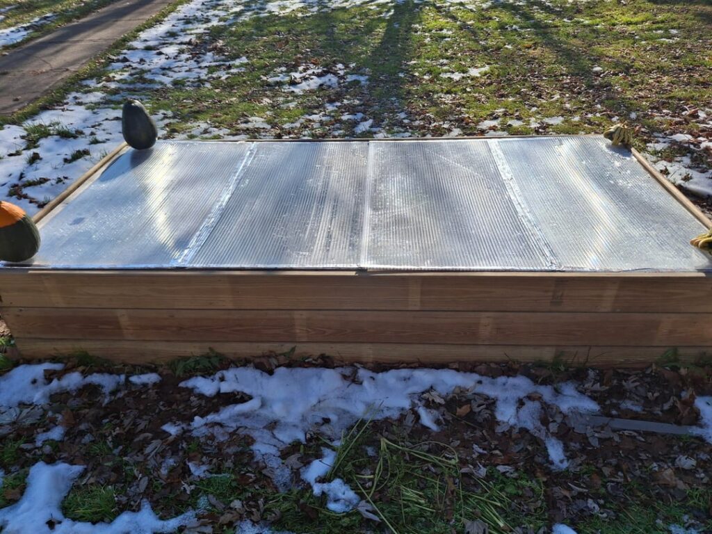 Made a cold frame and Im still harvesting after snowfall (zone 6b)