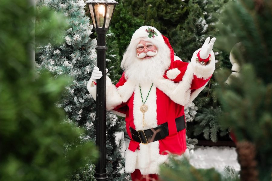 Preston garden centre hosting lineup of festive events – Blog Preston Meet Santa at Dobbies Pic: Stewart Attwood