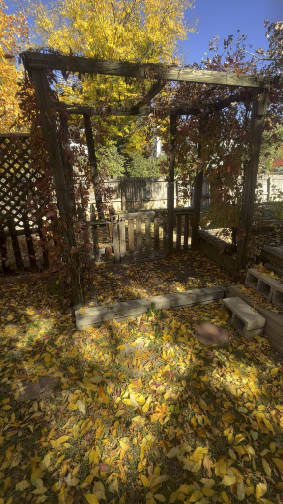 Buying a house with a big garden area and need ALL the help