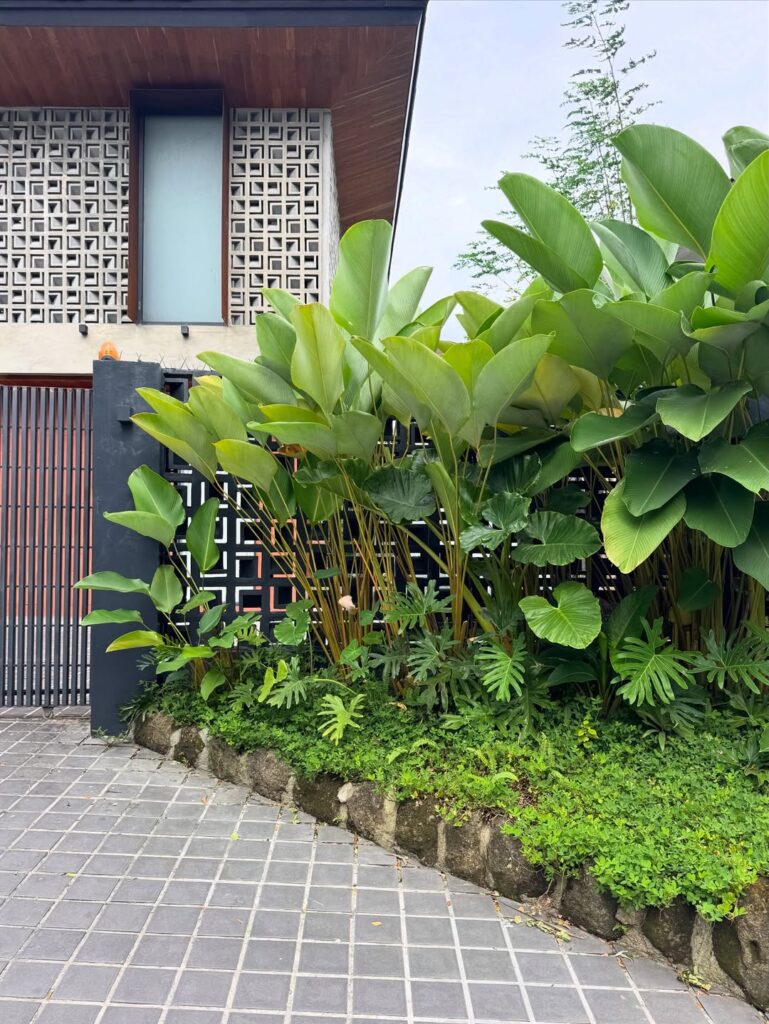 25 Tropical Landscape Ideas That Make Ordinary Gardens Feel Like Getaways Resort Pool Perfection