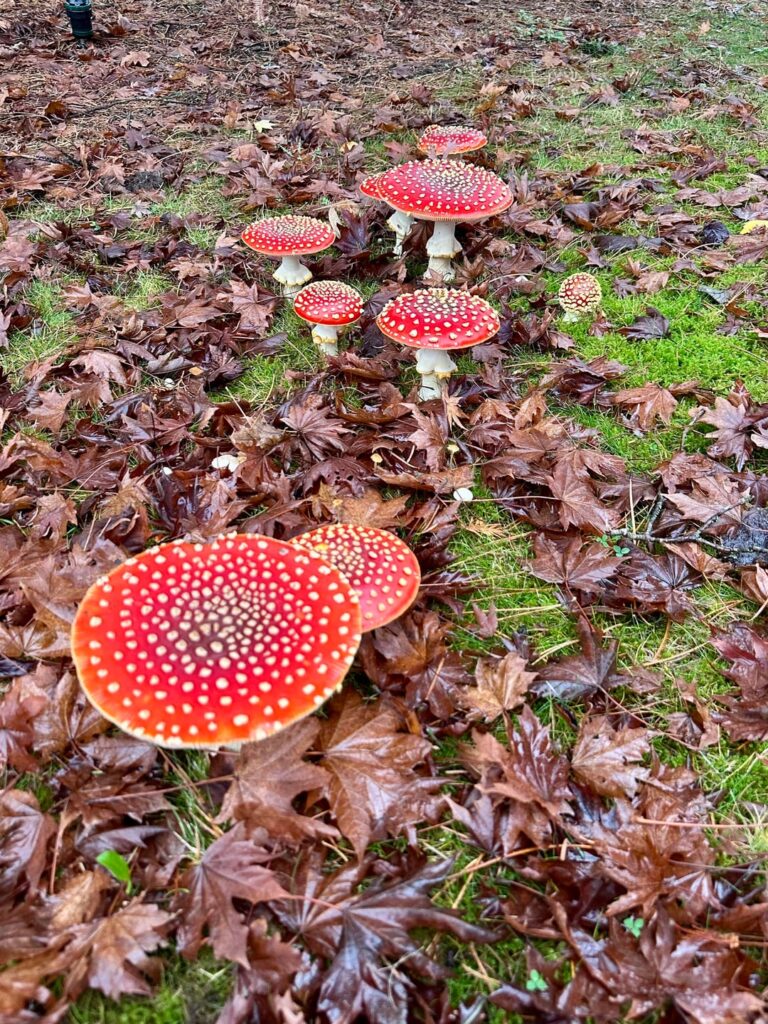 My front yard in Seattle right now!