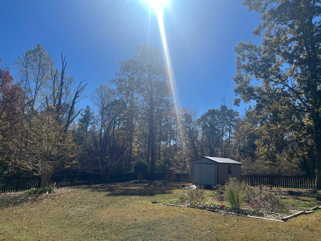 My husband and I closed on our dream home recently - 1.1 acres in zone 8a. Excited for all the future gardening!