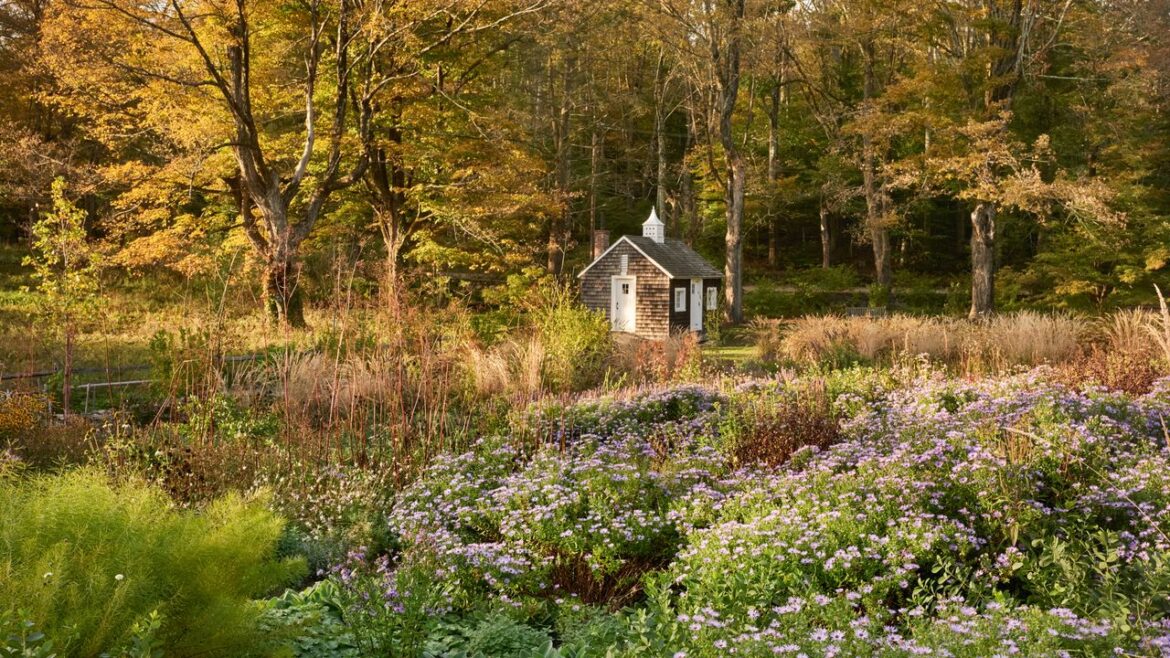 An extraordinarily enchanting Connecticut garden designed by Dan Pearson