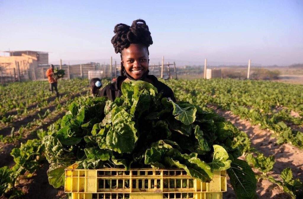 Ncumisa Mkabile Shoprite Judge_Supplied